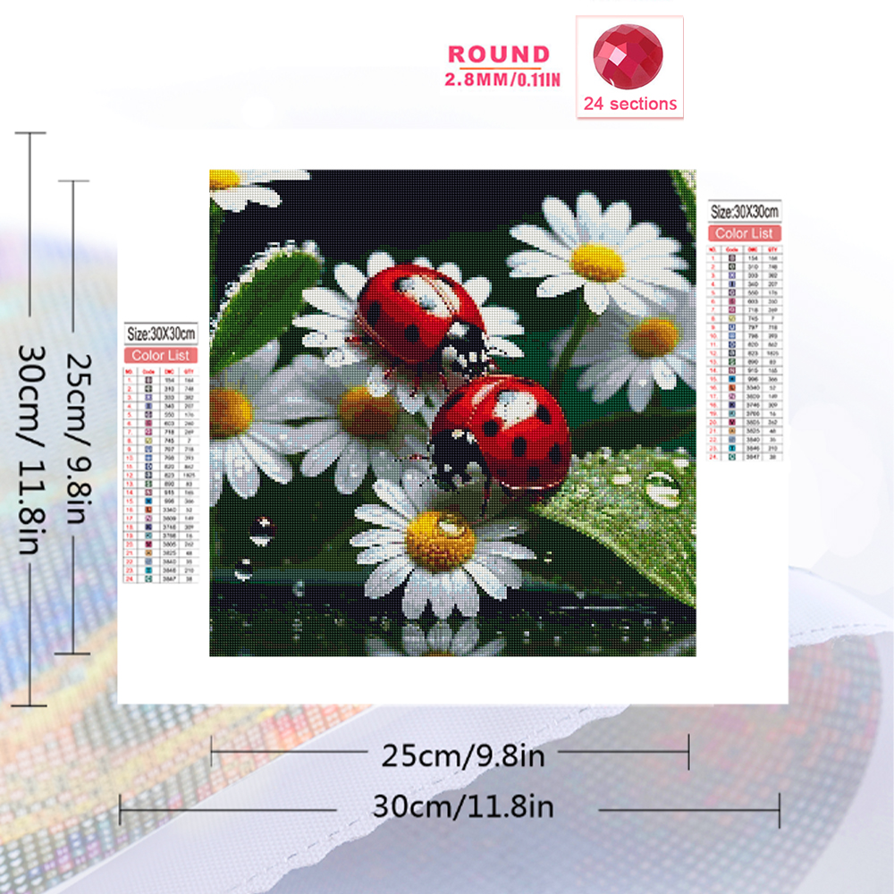 Momoart Diamond Painting Ladyb - Resin Craft For Beginners บทวิจารณ์และราคา