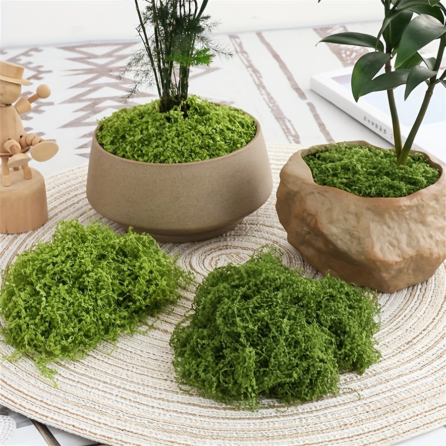 1pack Artificial Fake Moss, 1. - Terrarium Moss Art บทวิจารณ์และราคา