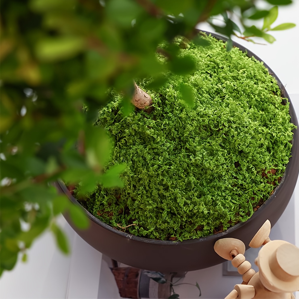1pack Artificial Fake Moss, 1. - Terrarium Moss Art บทวิจารณ์และราคา