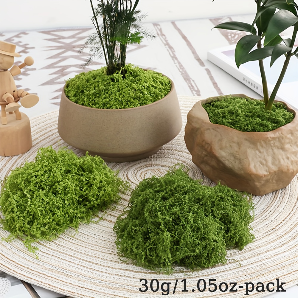 1pack Artificial Fake Moss, 1. - Terrarium Moss Art บทวิจารณ์และราคา