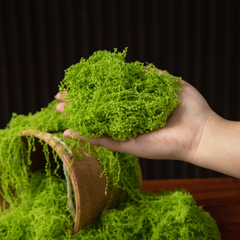 200g Eternal Life Moss DIY Cra - Terrarium Moss Art บทวิจารณ์และราคา