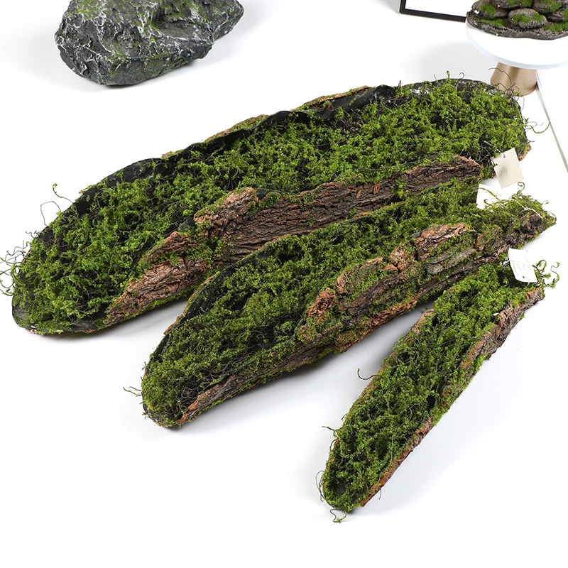 Creative Bark Moss Moss Artifi - Terrarium Moss Art บทวิจารณ์และราคา