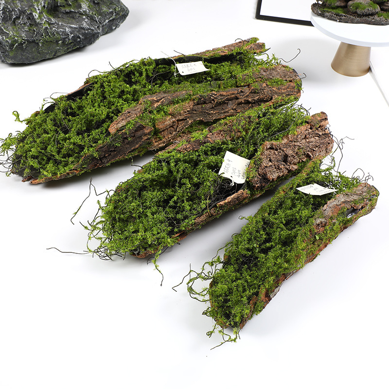 Creative Bark Moss Moss Artifi - Terrarium Moss Art บทวิจารณ์และราคา