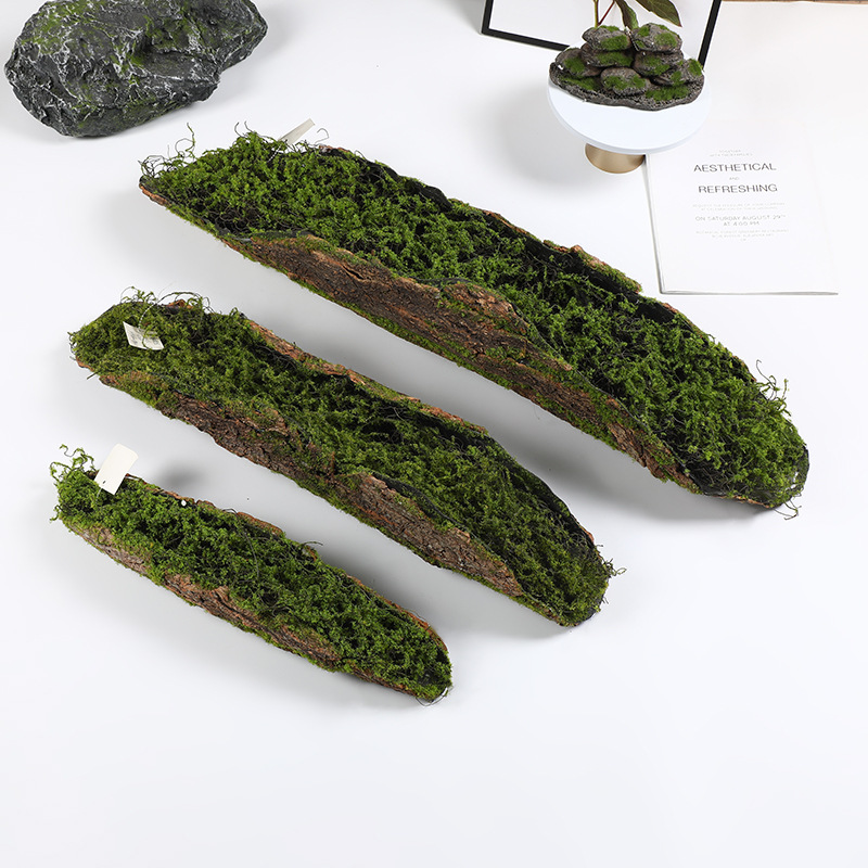 Creative Bark Moss Moss Artifi - Terrarium Moss Art บทวิจารณ์และราคา