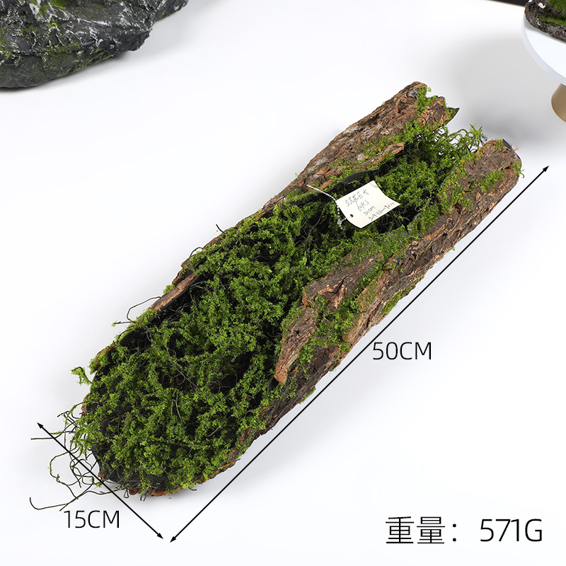 Creative Bark Moss Moss Artifi - Terrarium Moss Art บทวิจารณ์และราคา