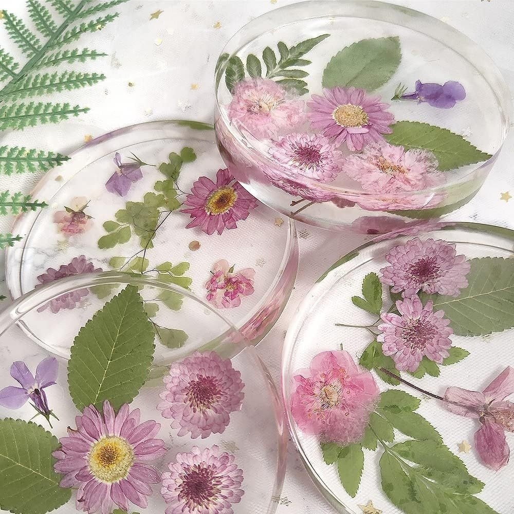 Creative Coasters Silicone Mol - Coaster Mold Round บทวิจารณ์และราคา