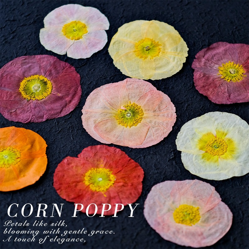 1pcs,Nature Field Poppy Presse - Resin Craft Ideas บทวิจารณ์และราคา