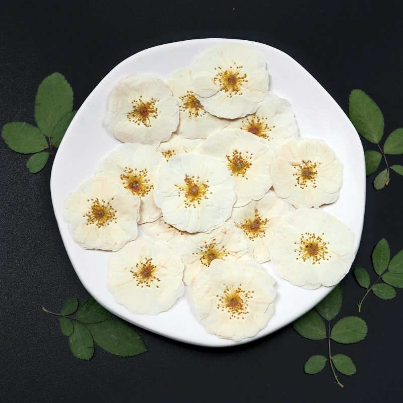 6pcs,9pcs,Nature White Rose Pr - Resin Craft Ideas บทวิจารณ์และราคา