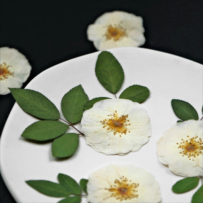 6pcs,9pcs,Nature White Rose Pr - Resin Craft Ideas บทวิจารณ์และราคา