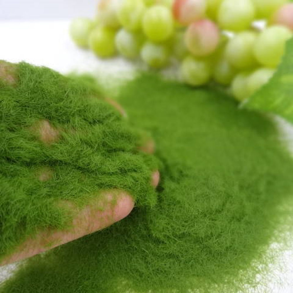 35g/Bag Sandbox Game Artificia - Terrarium Moss Art บทวิจารณ์และราคา