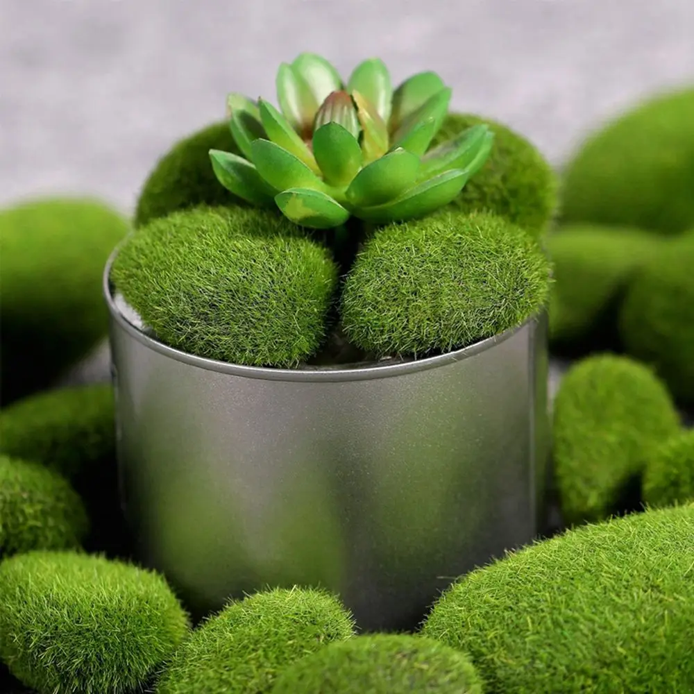 Floral Arrangements Fake Stone - Terrarium Moss Art บทวิจารณ์และราคา