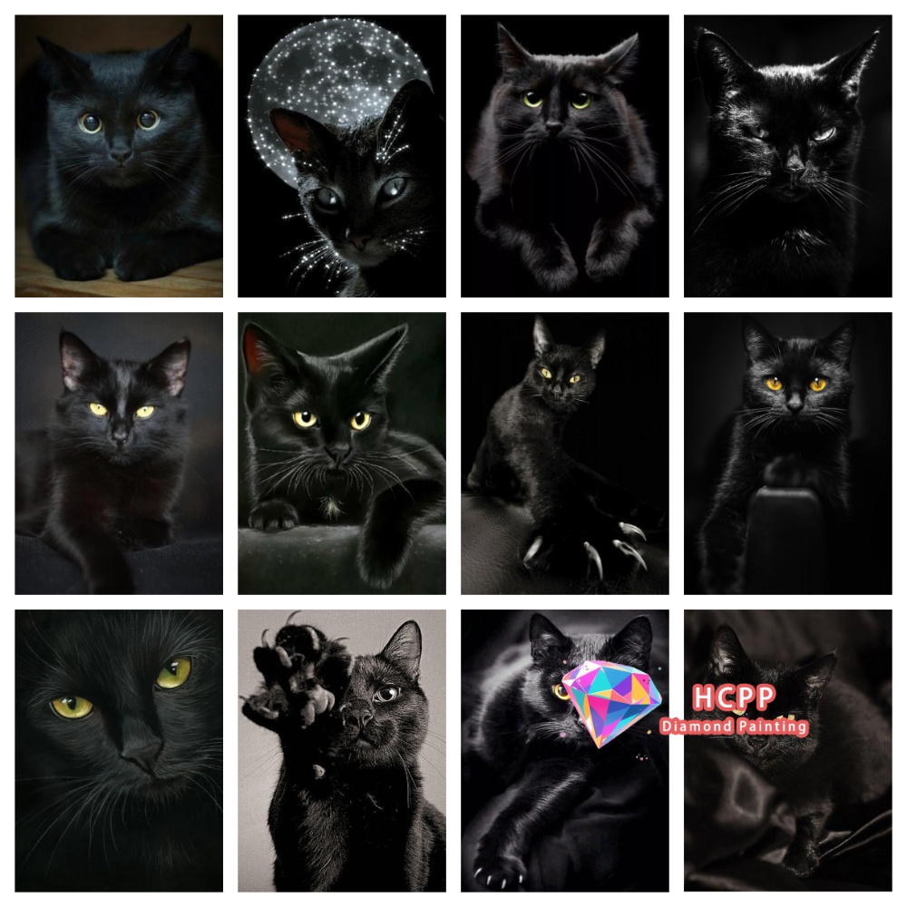 unframe Black Cat Animal Diamo - Resin Craft Kit บทวิจารณ์และราคา