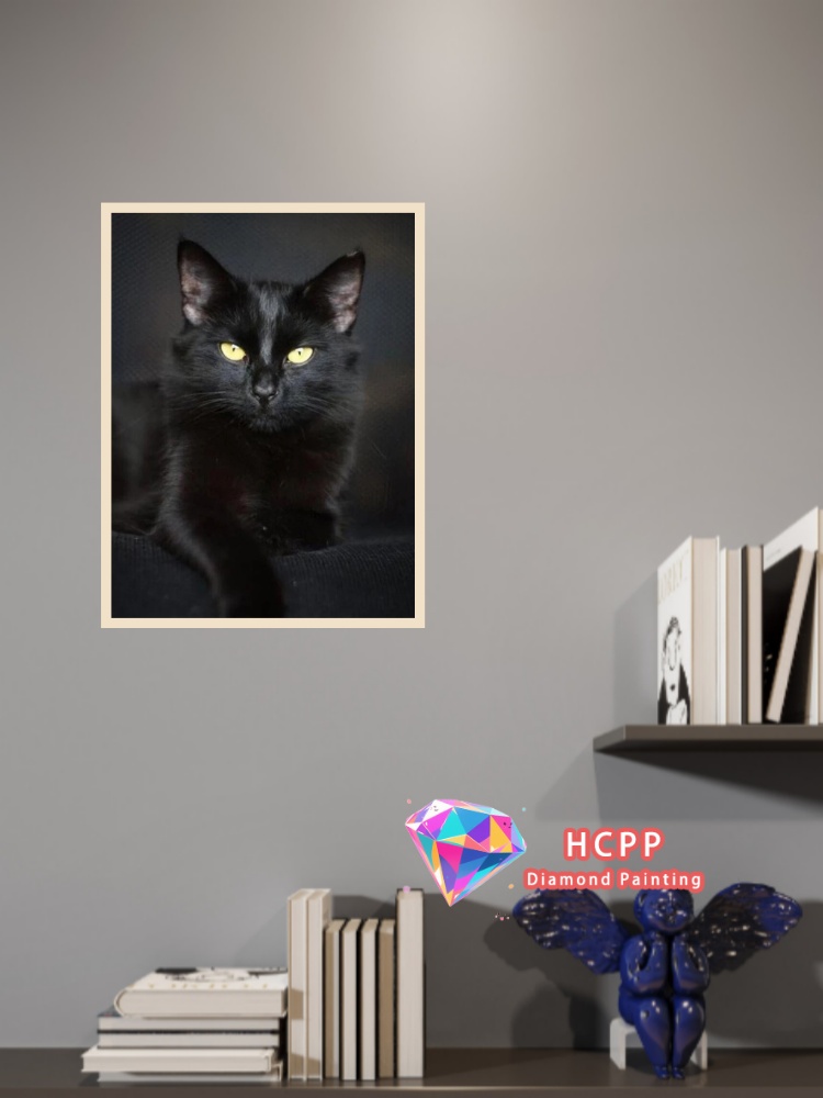 unframe Black Cat Animal Diamo - Resin Craft Kit บทวิจารณ์และราคา