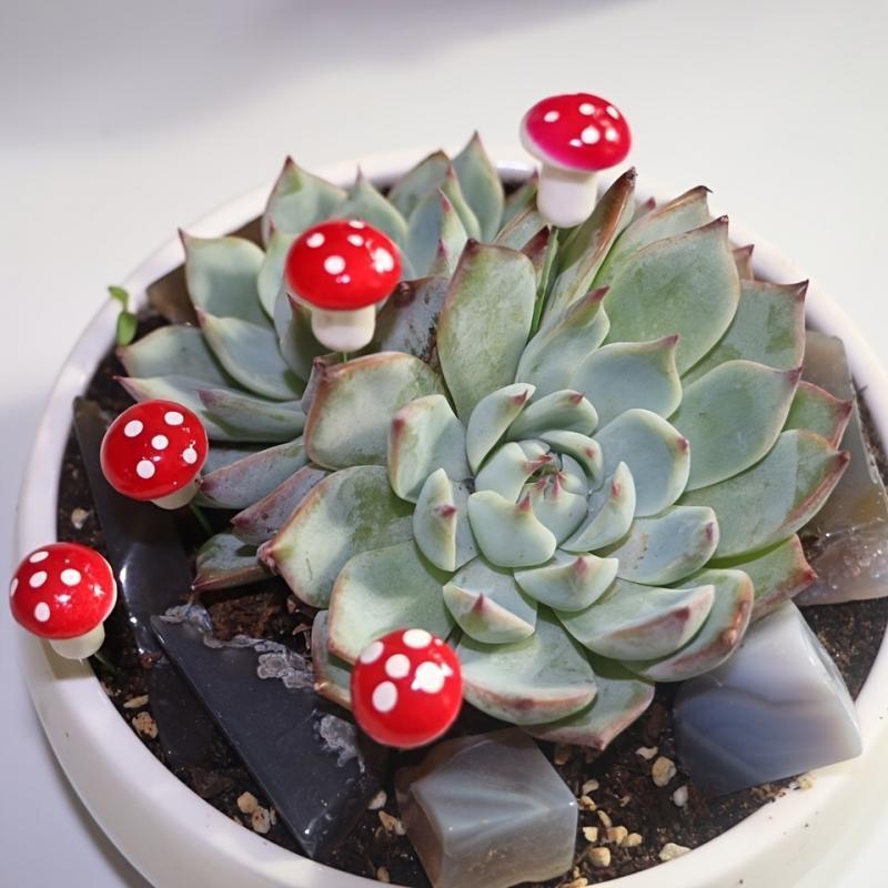 10-80PCS Mini Color Mushroom D - Terrarium Moss Art บทวิจารณ์และราคา