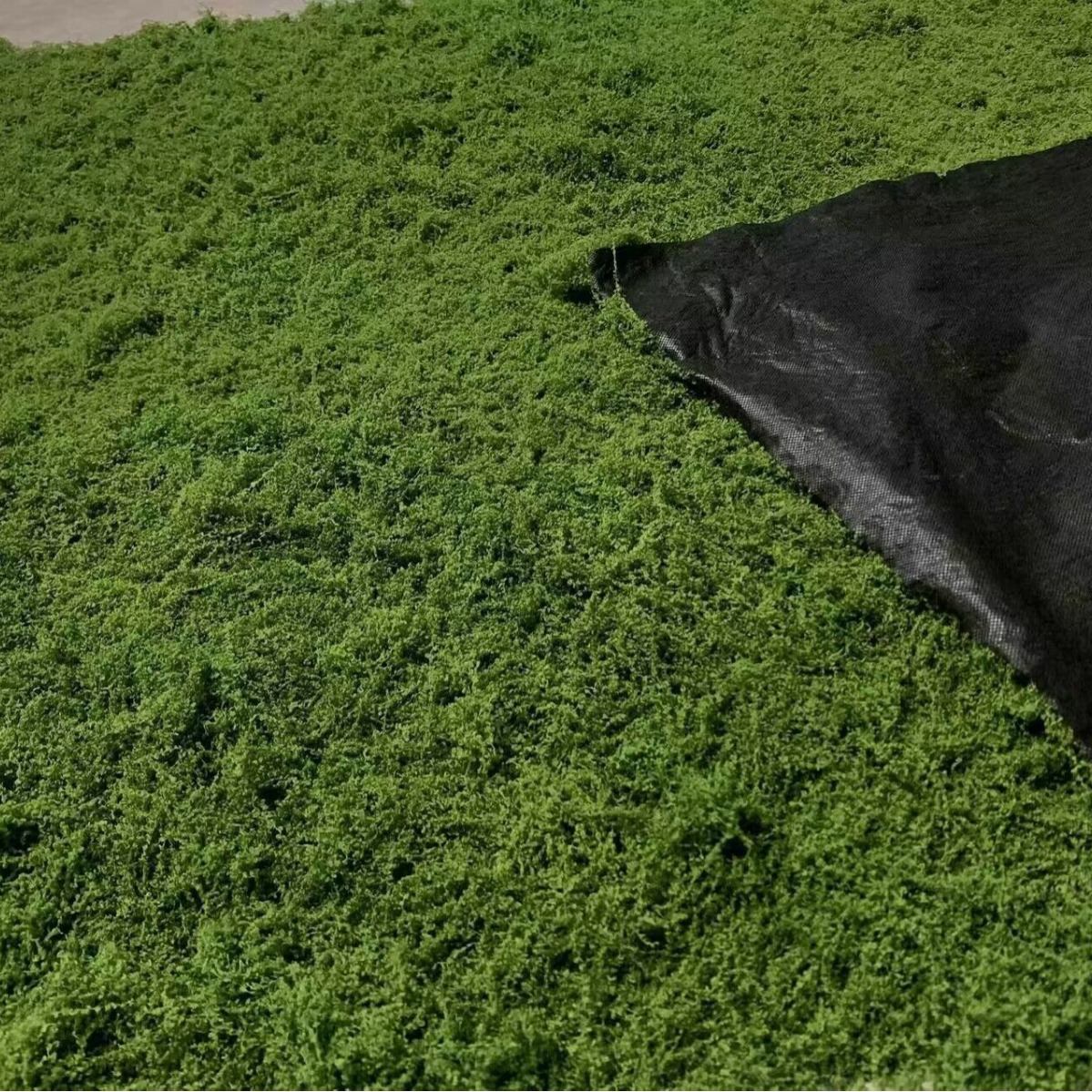 1*1m Fake Moss DIY Crafts Gras - Terrarium Moss Art บทวิจารณ์และราคา