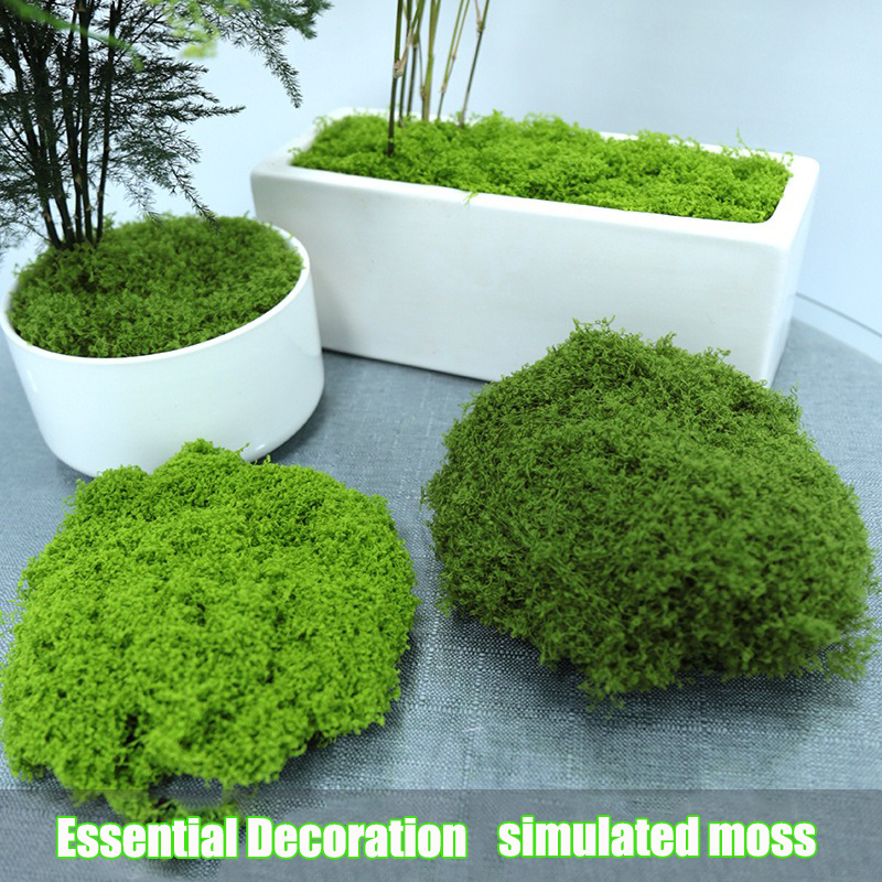 Artificial simulation of moss  - Terrarium Moss Art บทวิจารณ์และราคา