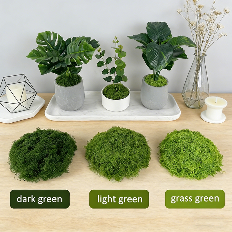 Artificial simulation of moss  - Terrarium Moss Art บทวิจารณ์และราคา