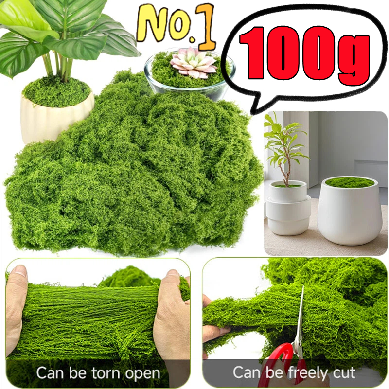 30/50/100g Fake Green Moss Art - Terrarium Moss Art บทวิจารณ์และราคา