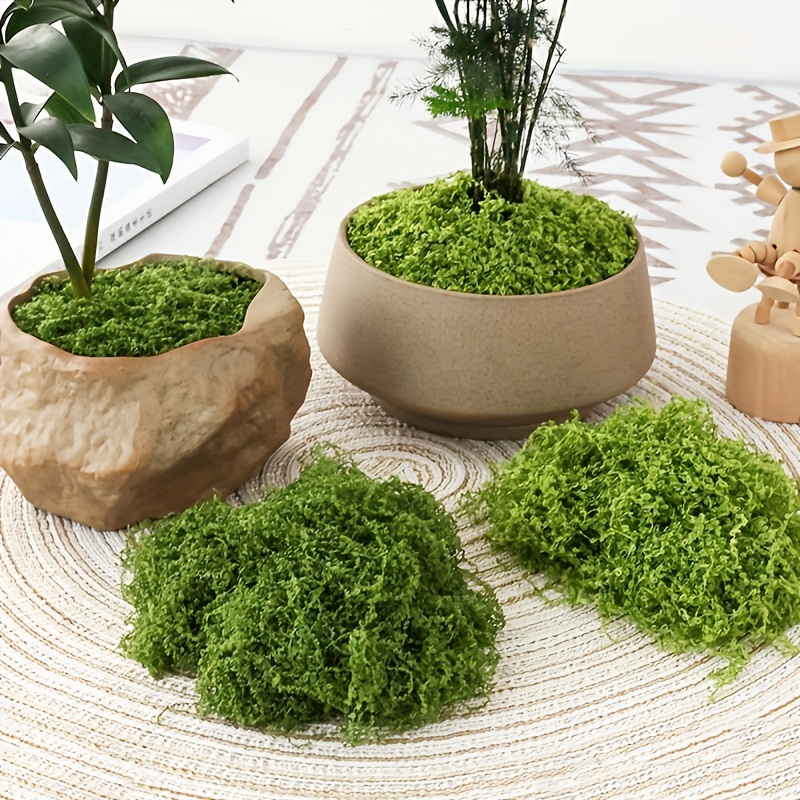 30/50/100g Fake Green Moss Art - Terrarium Moss Art บทวิจารณ์และราคา
