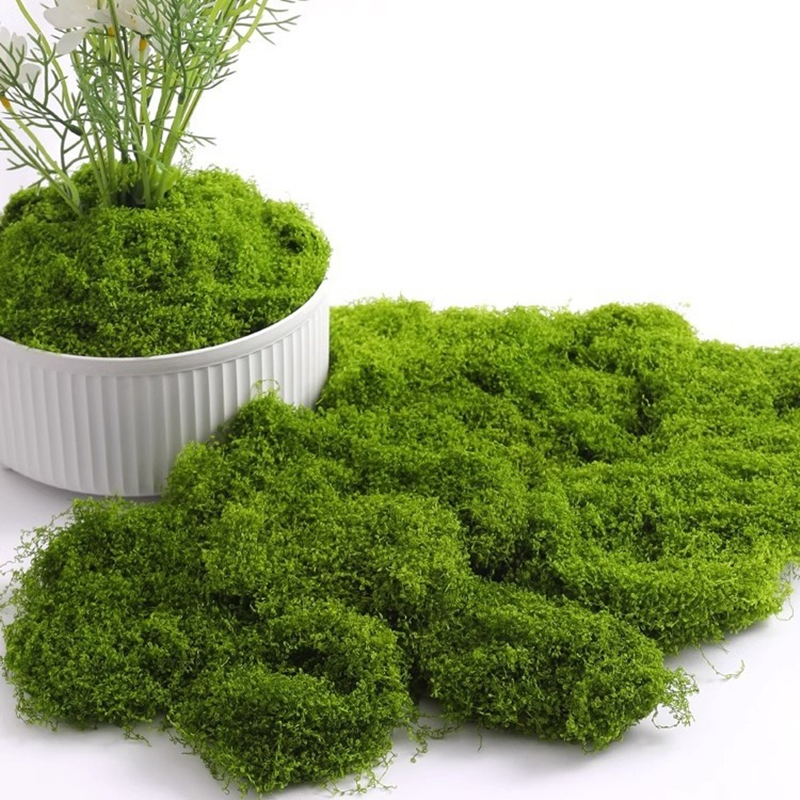 30/50/100g Fake Green Moss Art - Terrarium Moss Art บทวิจารณ์และราคา