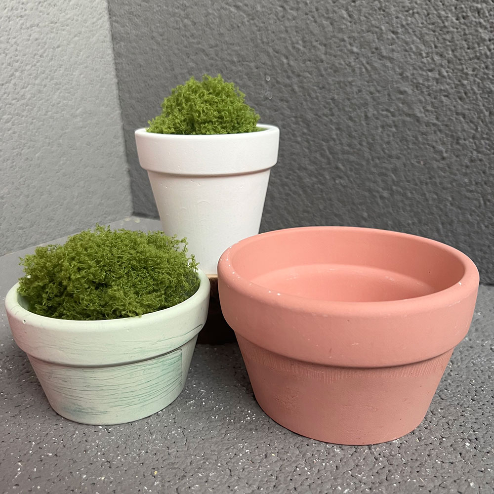 Large Concrete Plant Pot Silic - Coaster Mold Round บทวิจารณ์และราคา
