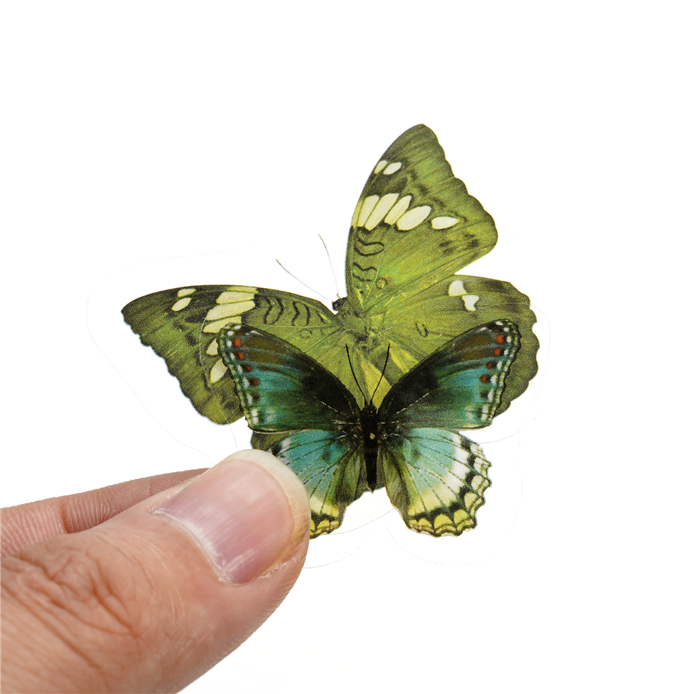 40pcs Colorful Butterfly Wings - Gold Foil Flakes บทวิจารณ์และราคา