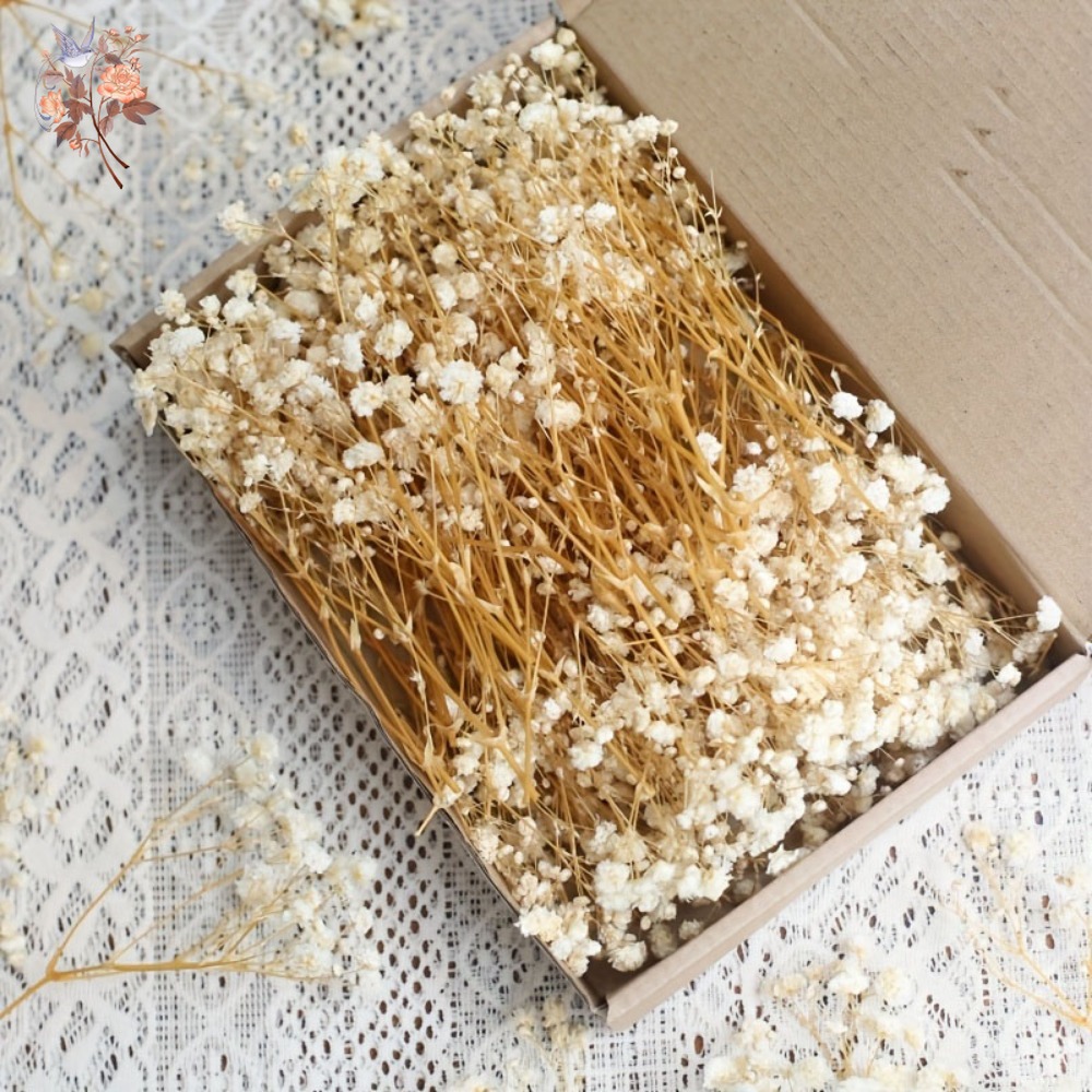 100pcs Mini Dried Baby's Breat - Resin Craft Ideas บทวิจารณ์และราคา
