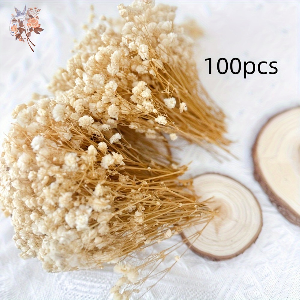 100pcs Mini Dried Baby's Breat - Resin Craft Ideas บทวิจารณ์และราคา
